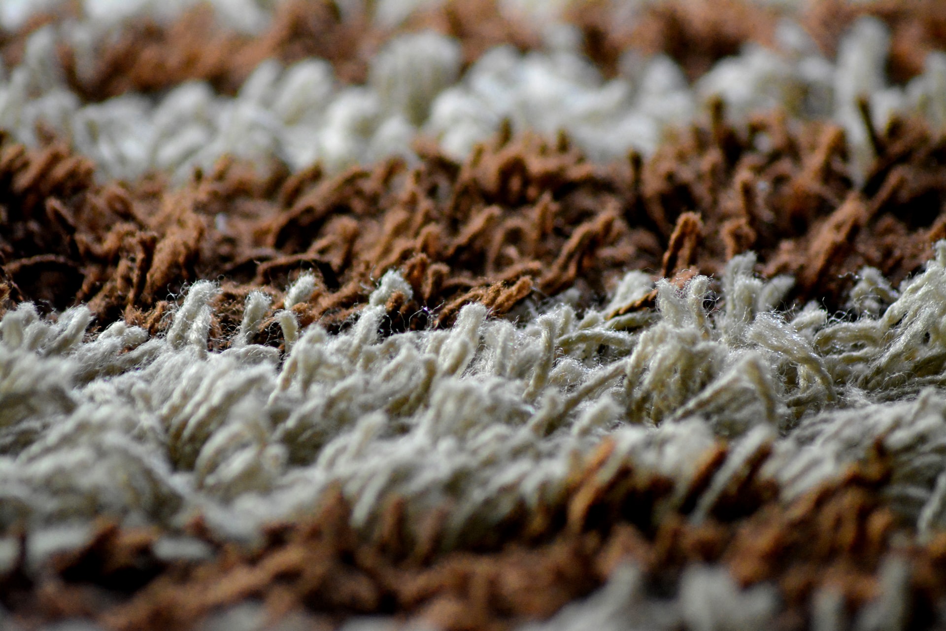 Do Carpet Cleaning Services Move Furniture?