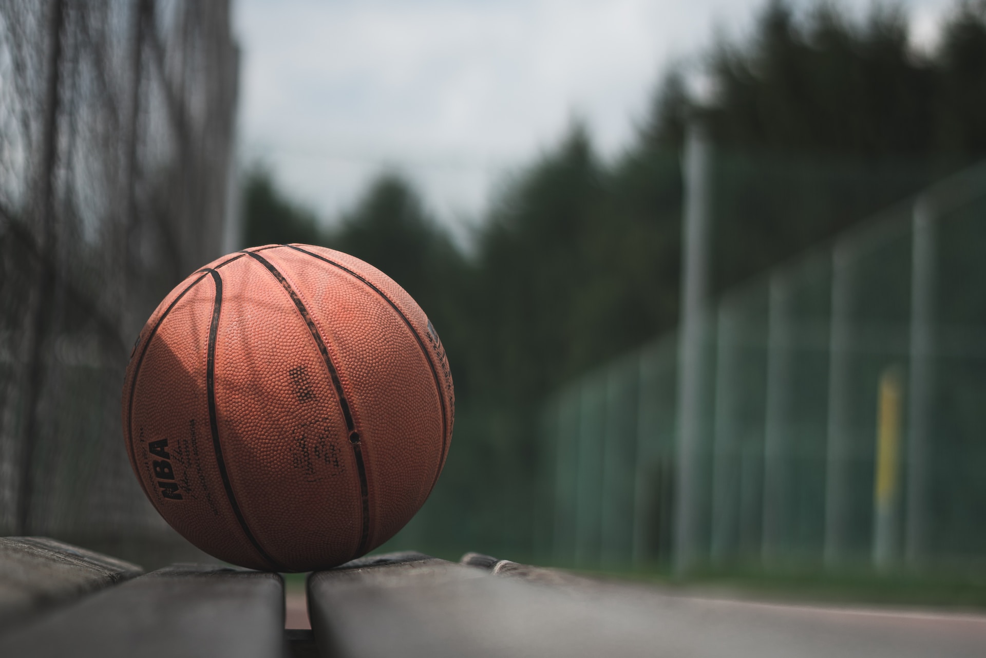2023 Top Popular Sports